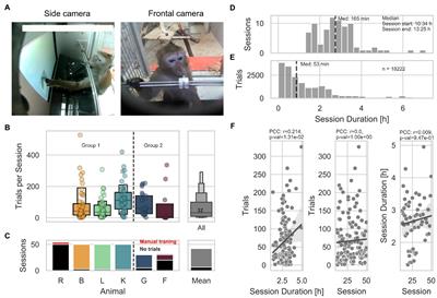 Group-based, autonomous, individualized training and testing of long-tailed macaques (Macaca fascicularis) in their home enclosure to a visuo-acoustic discrimination task